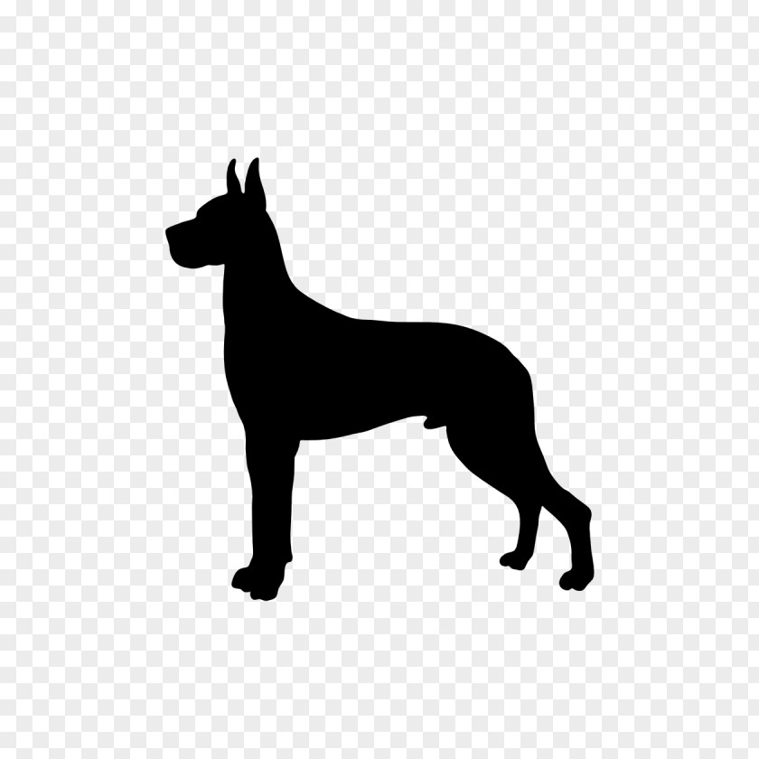 GREAT DANE Great Dane Boxer Puppy Newfoundland Dog Greyhound PNG