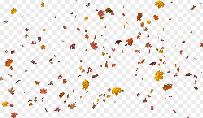 Leaf Autumn Color Layers Clip Art PNG