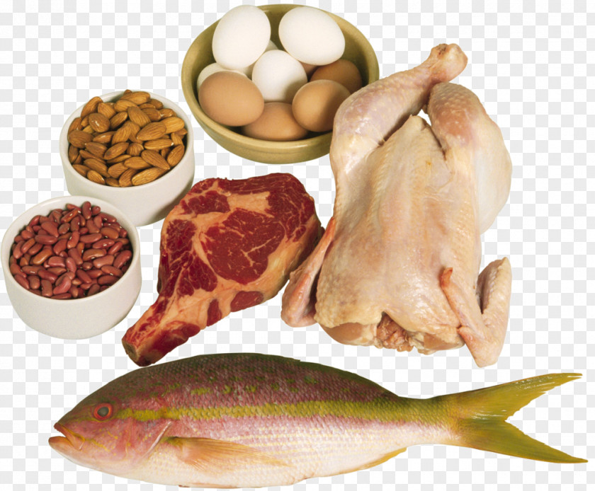 Non-veg Food High-protein Diet Eating PNG