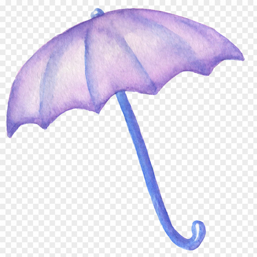 Purple Umbrella Google Images Gratis Mulberry PNG
