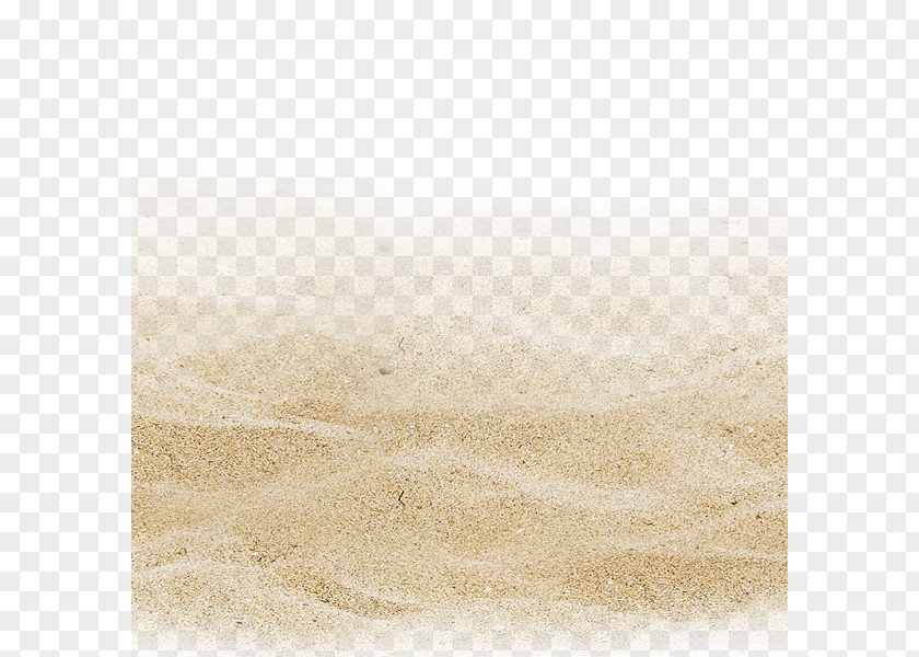 Sandy Beach Stock Photography Brown Stock.xchng Pattern PNG
