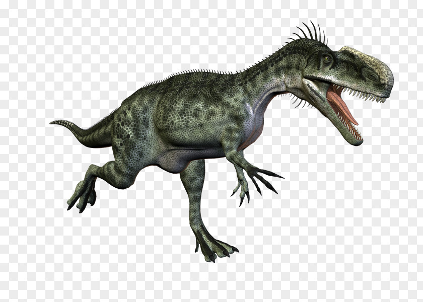 Dinosaurs Tyrannosaurus Velociraptor Cryolophosaurus Monolophosaurus Concavenator PNG