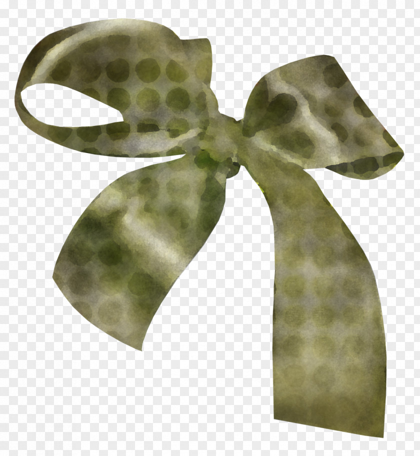Green White Ribbon Leaf Satin PNG