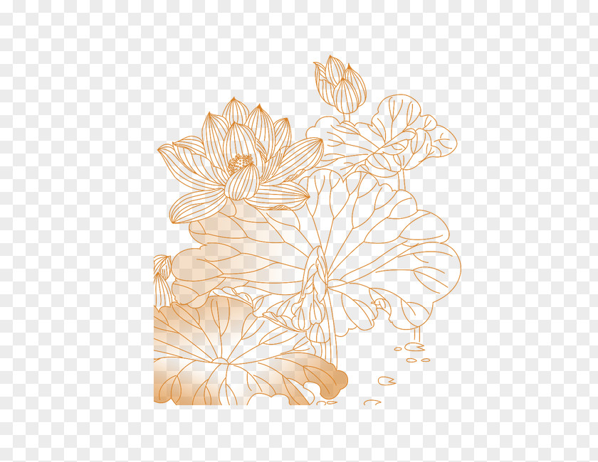 Lotus Petal Floral Design Flower Pattern PNG