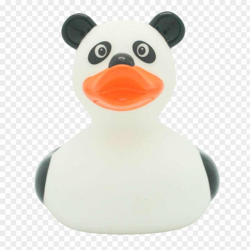 Rubber Duck Amazonetta Gum Toy PNG