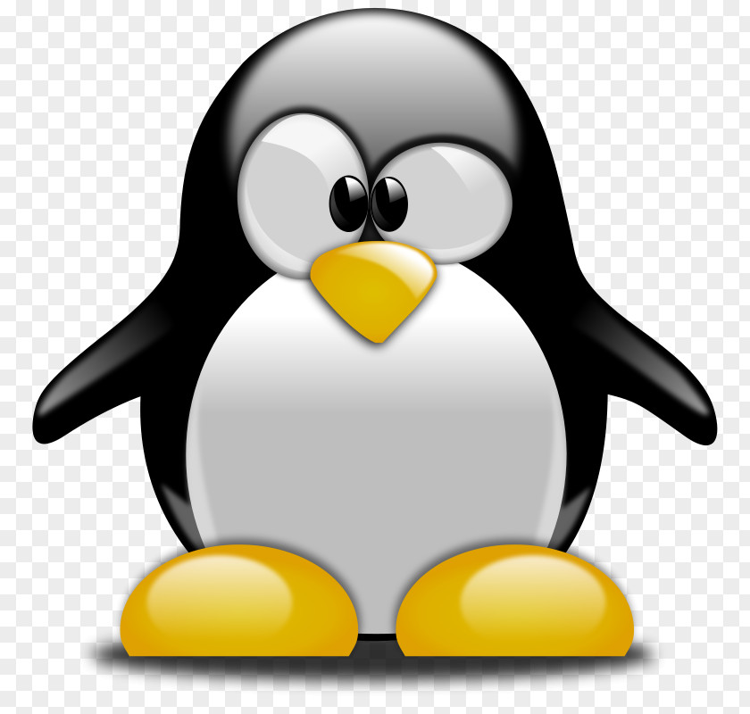 T-shirt Penguin Tuxedo Clip Art PNG