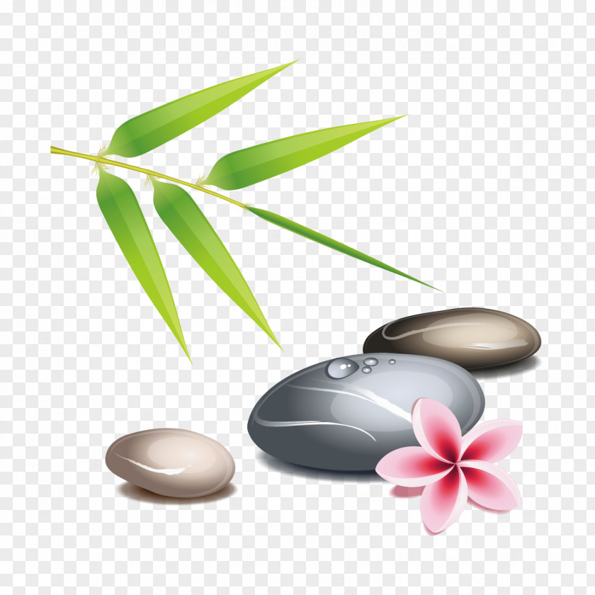 Vector Stones And Leaves Zen Clip Art PNG