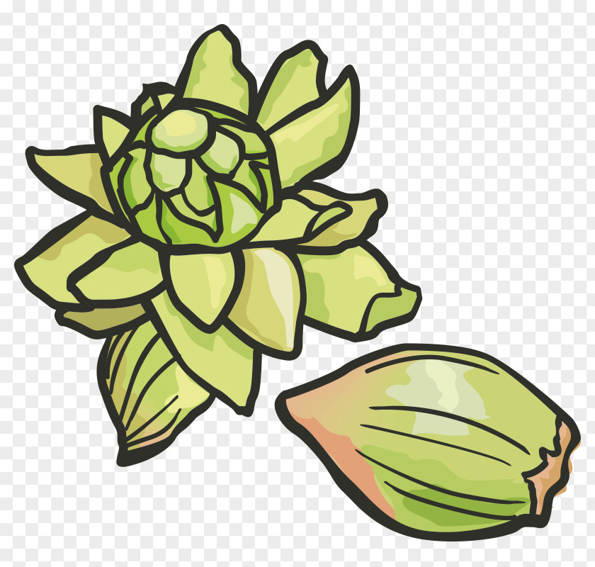 Vegetables,Fruits And Vegetables,Green,fruit,vegetables Fruit Fuki Vegetable Illustration PNG