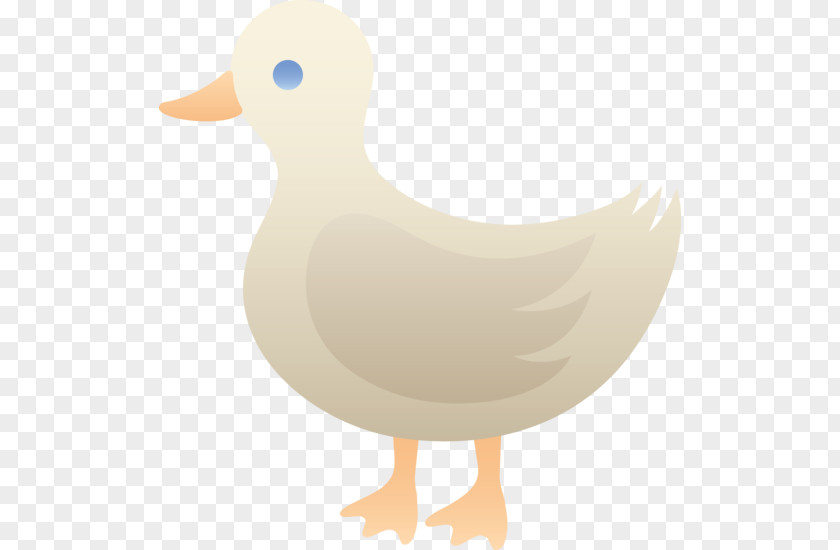 Aquatic Animal Duck Mallard Bird Goose Clip Art PNG