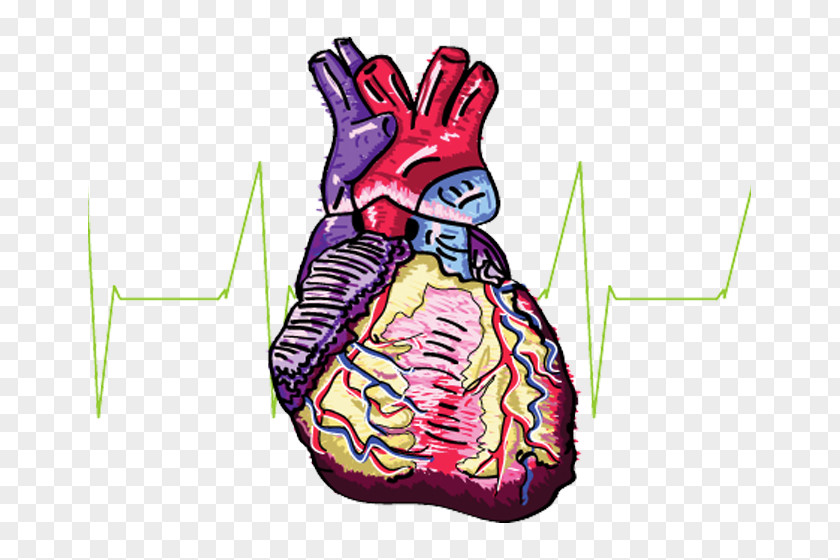 Cherish Life Away From Drugs Organism Heart Clip Art PNG