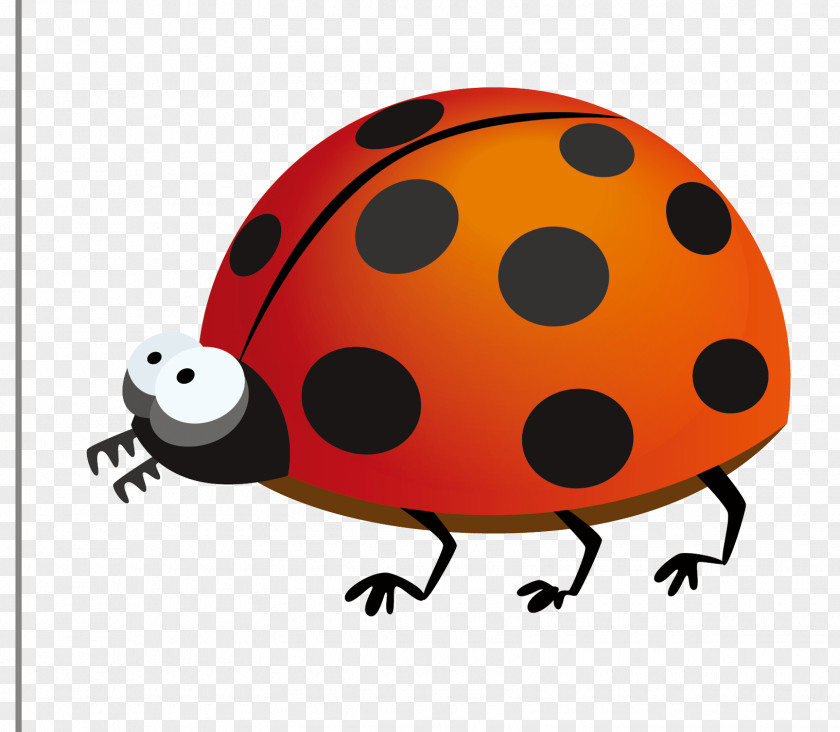 Ladybug Insect Cartoon Clip Art PNG