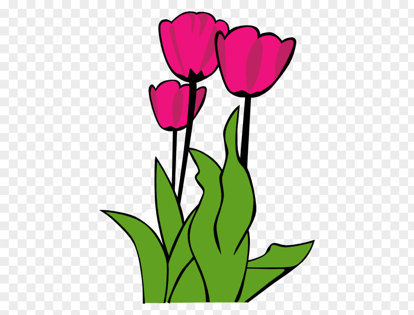 Tulip Clip Art Openclipart Free Content Image PNG