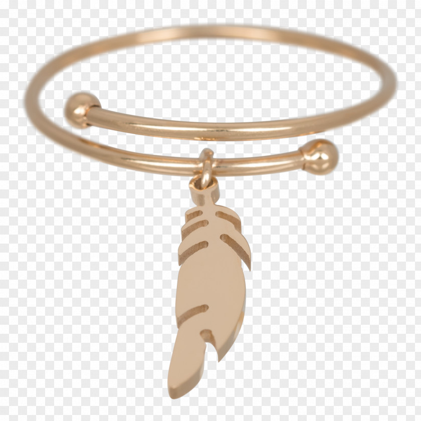 Feather Gold Earring Jewellery Silver PNG