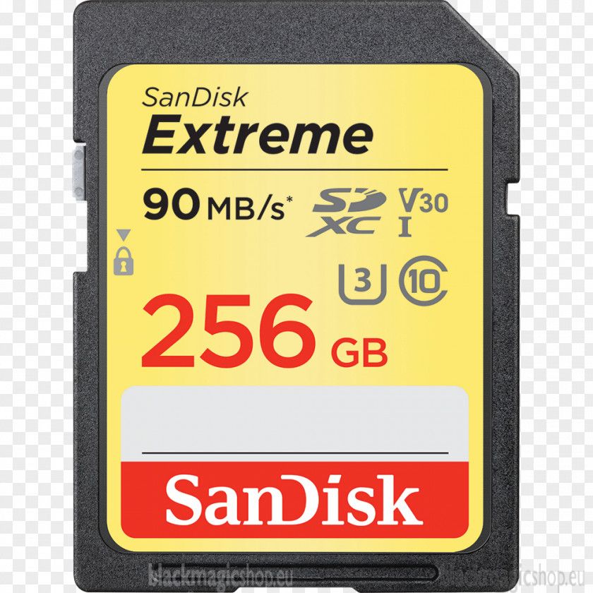 Flash Memory Cards Secure Digital SanDisk MicroSD SDXC PNG