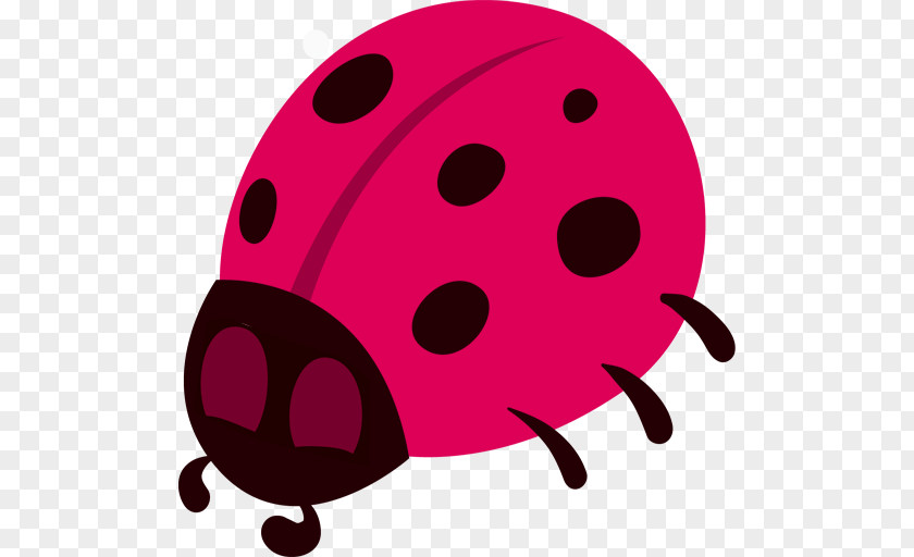Beetle Ladybird Theme PNG