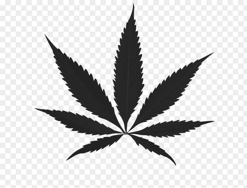 Cannabis Clip Art PNG