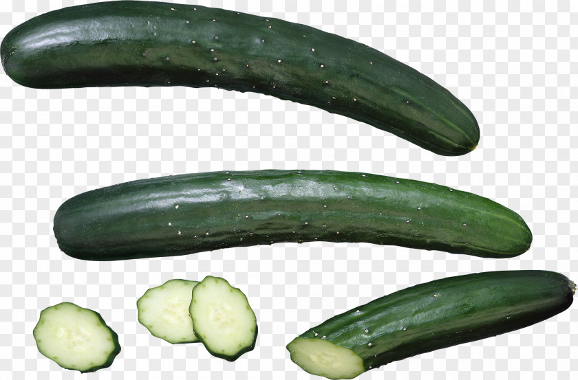Cucumber Pickled Vegetable Seed Food PNG