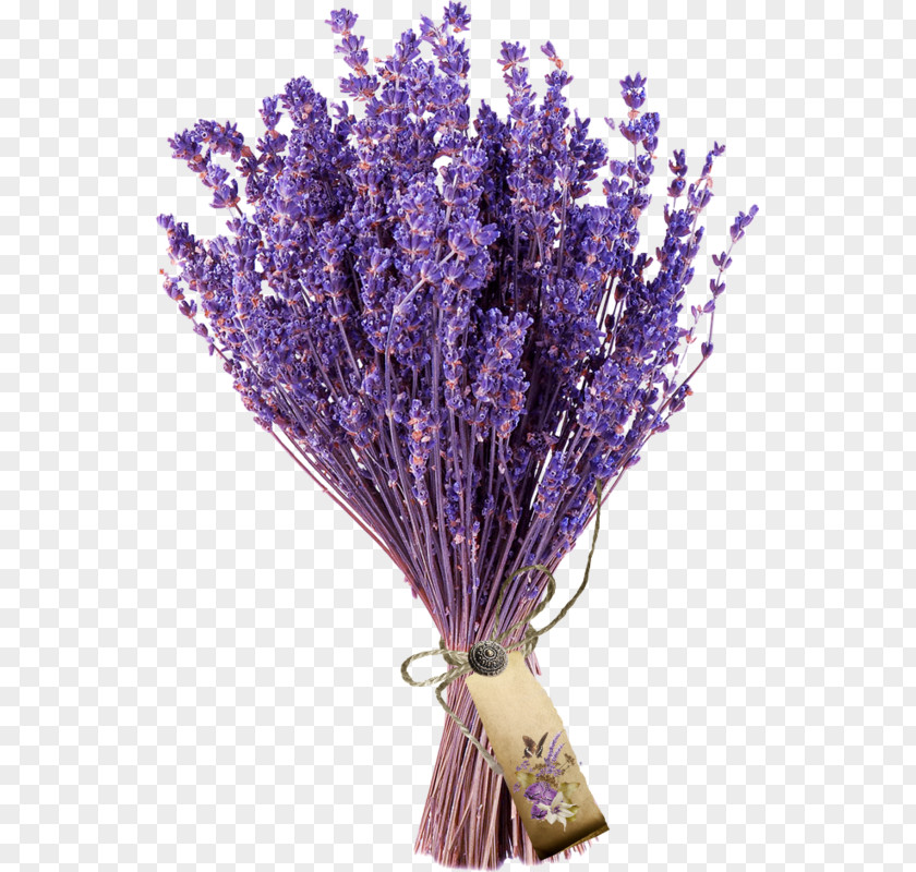 Flower English Lavender Bouquet French PNG