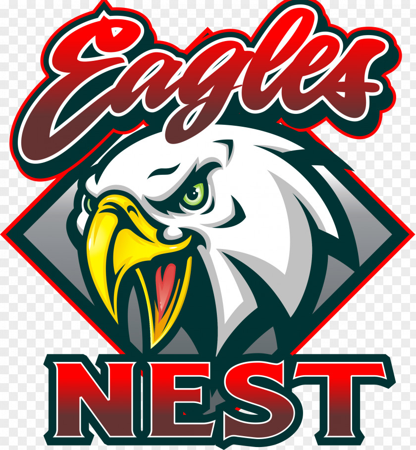Nest Bird Graphic Design Vertebrate PNG