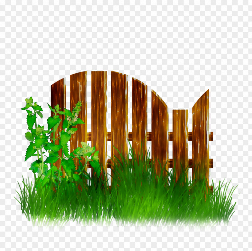 Product Design Graphics Grasses PNG