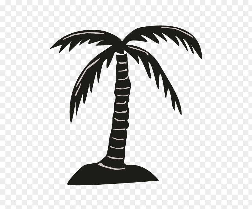 Silhouette Arecaceae Black White PNG