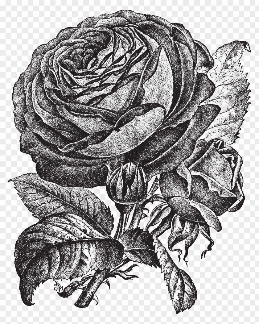 Single Rose Sketch Sleeve Tattoo Drawing Image Art PNG