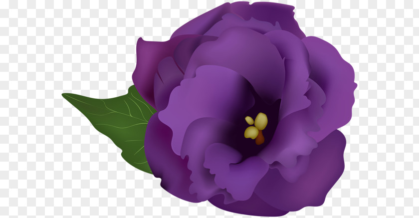 Violet Pansy Clip Art PNG