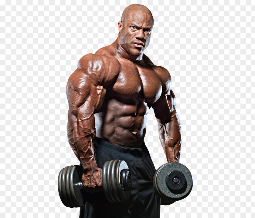 Bodybuilding Transparent Phil Heath Mr. Olympia Arnold Sports Festival Ms. PNG