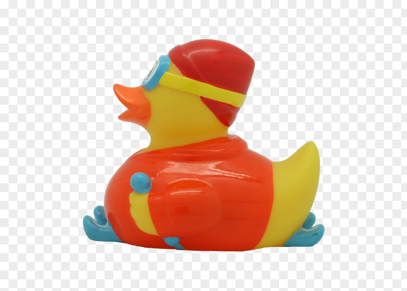 Duck Rubber Amsterdam Store Goose Cygnini PNG