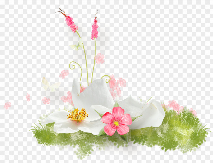 Flowers Floral Decorations Flower Wallpaper PNG