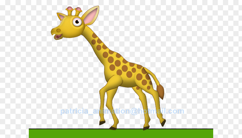 Giraffe Baby Giraffes Animation Drawing Cartoon PNG