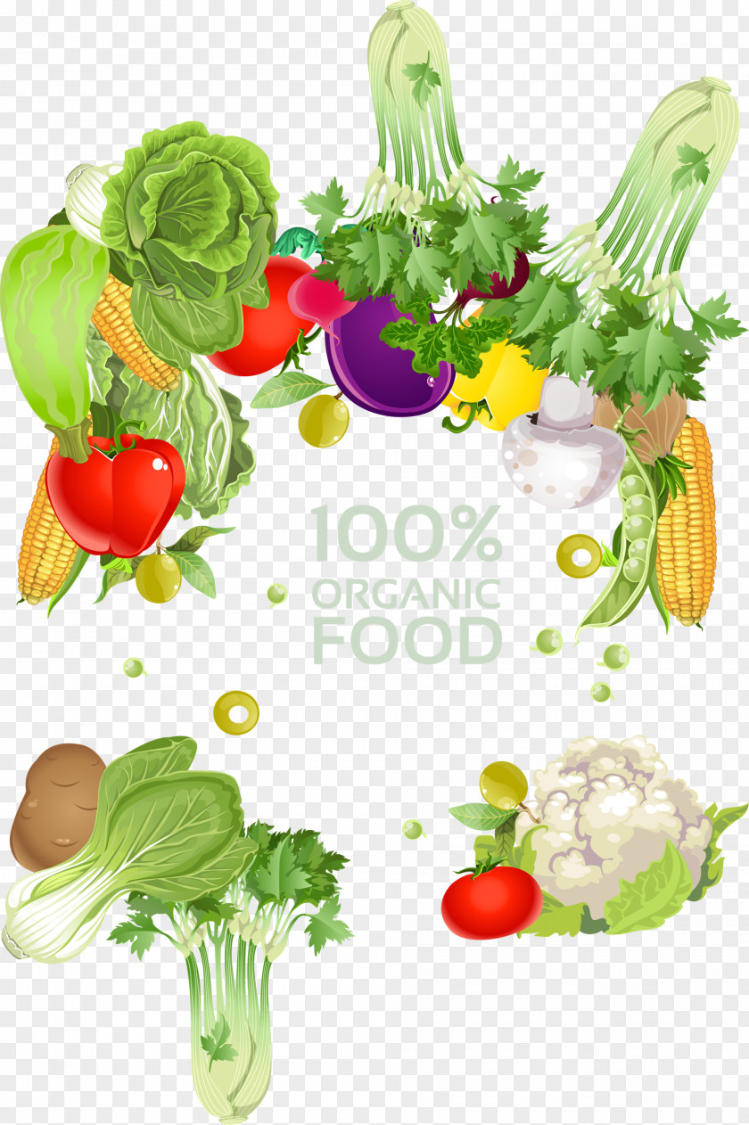 Vegetarian Cuisine Vegetable Illustration Clip Art PNG