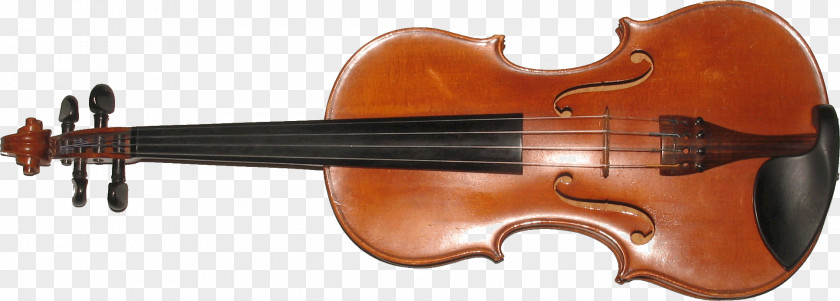 Accordion Violin Musical Instruments PNG