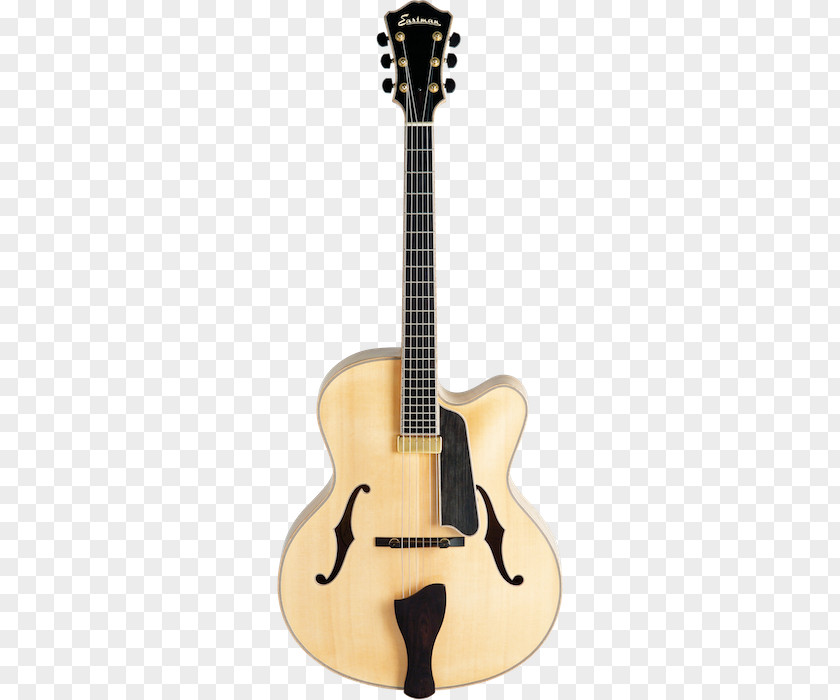 Archtop Guitar Acoustic Bass Electric Ibanez PNG