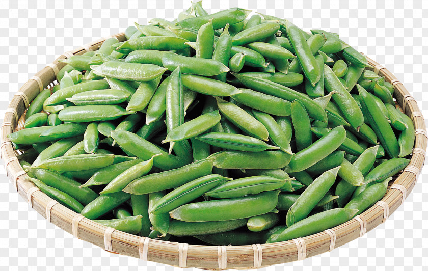 Beans Common Bean Pea Lima Vegetarian Cuisine Vegetable PNG