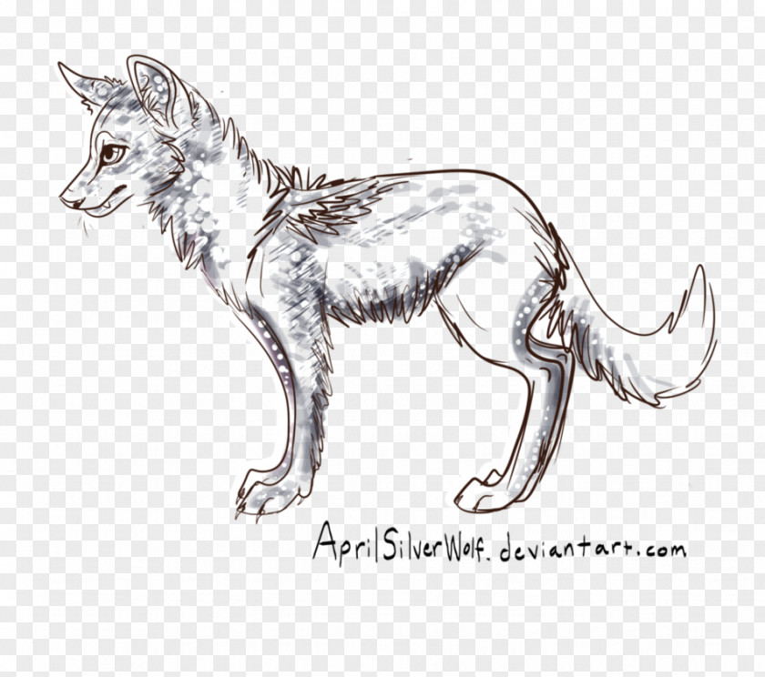 Cat Red Fox Gray Wolf Line Art Sketch PNG