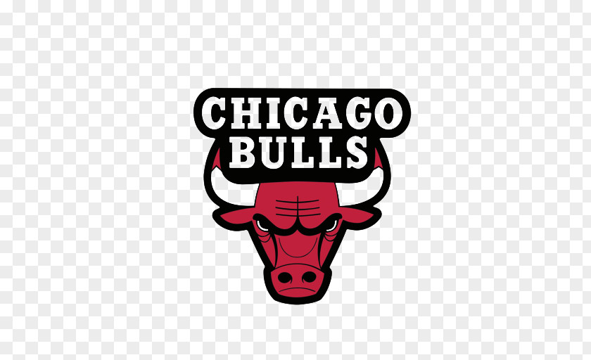 Chicago Bulls Transparent Image NBA Logo Decal PNG