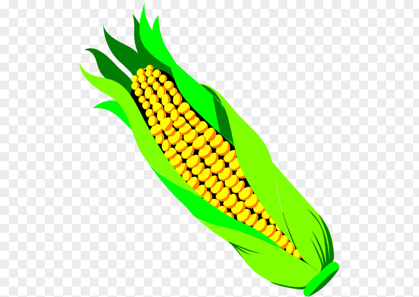 Cob Cliparts Corn On The Candy Vegetable Sweet Clip Art PNG