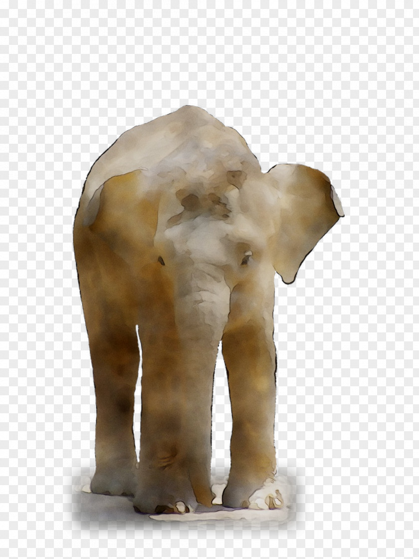 Indian Elephant African Fauna Terrestrial Animal PNG