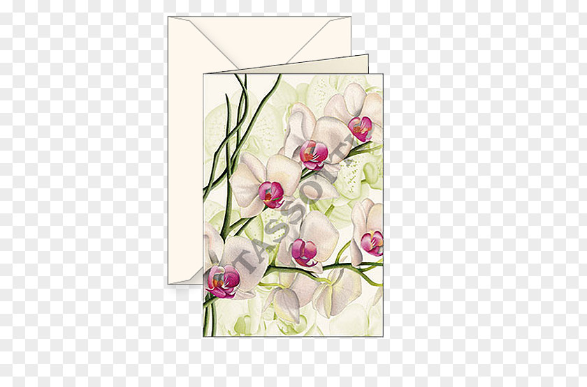 Orchidea Floral Design Paper Cut Flowers Orchids Greeting & Note Cards PNG