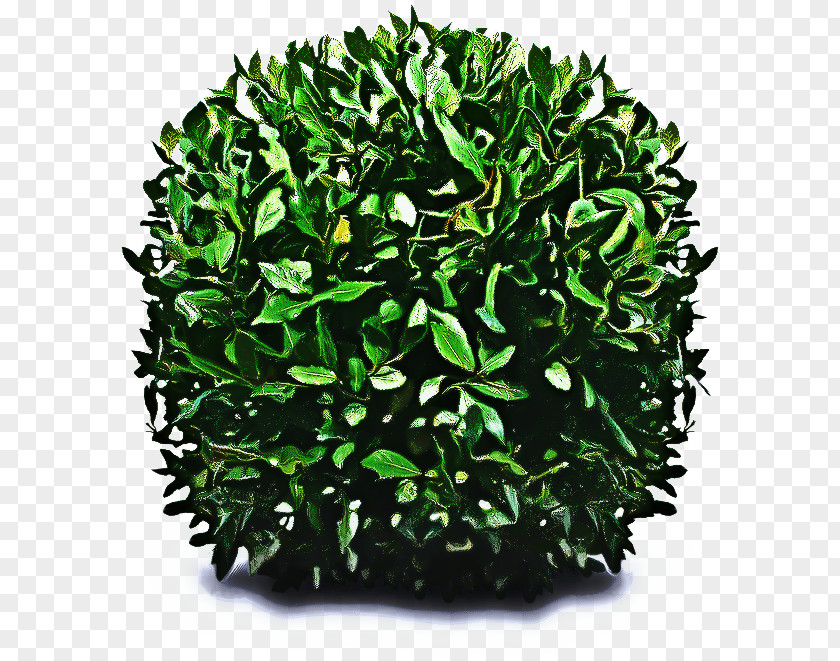 Artificial Turf Flower Green Grass Background PNG