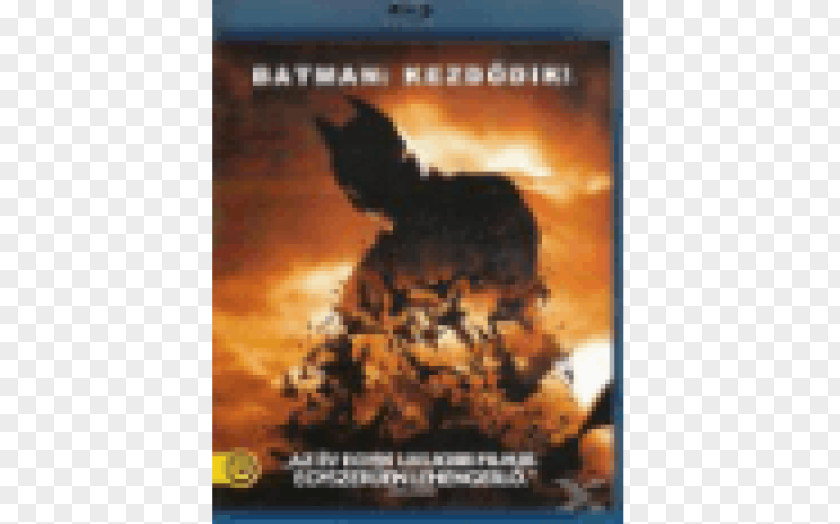 Batman Blu-ray Disc Carmine Falcone DVD Film PNG