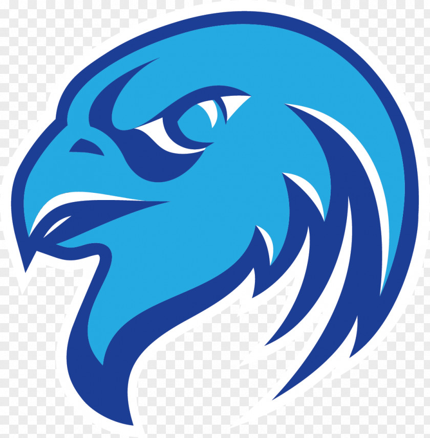Falcon Atlanta Falcons Logo PNG
