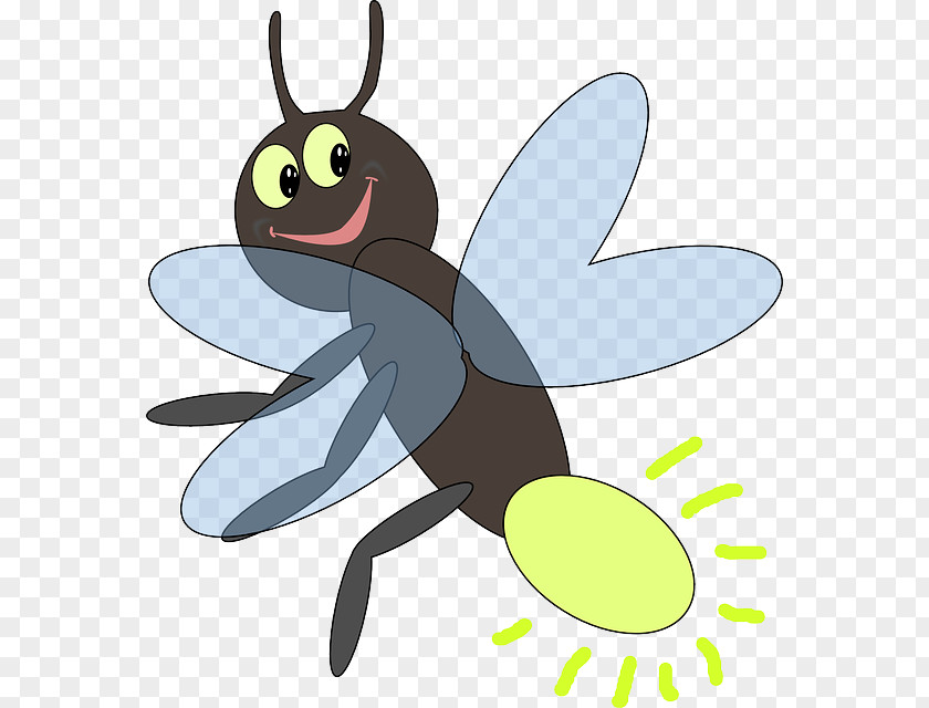 Firefly Clip Art Openclipart Vector Graphics Beetle PNG