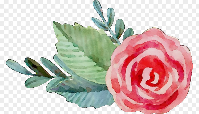 Protea Rose Order Blue Watercolor Flowers PNG