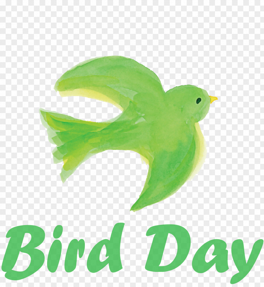 Bird Day Happy International PNG