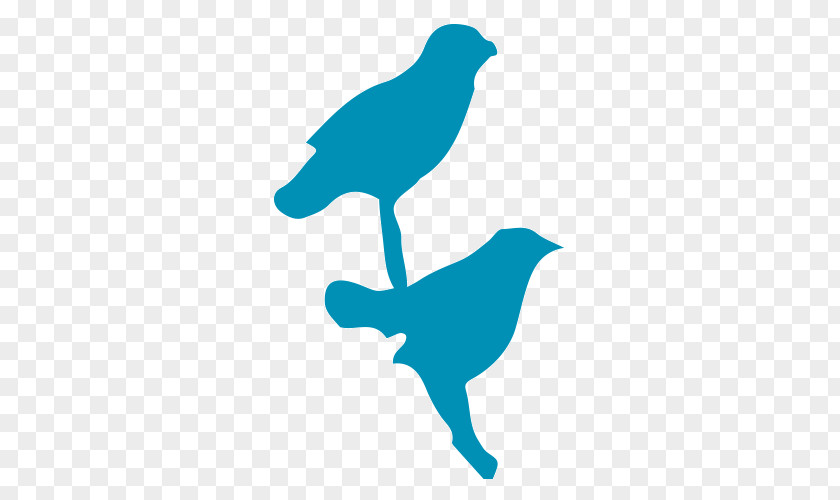 Bird Silhouette Drawing Stencil Finches PNG