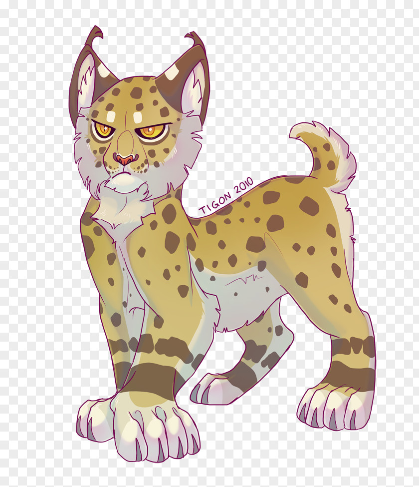 Eurasian Lynx Whiskers Cheetah Cat Tigon Lion PNG