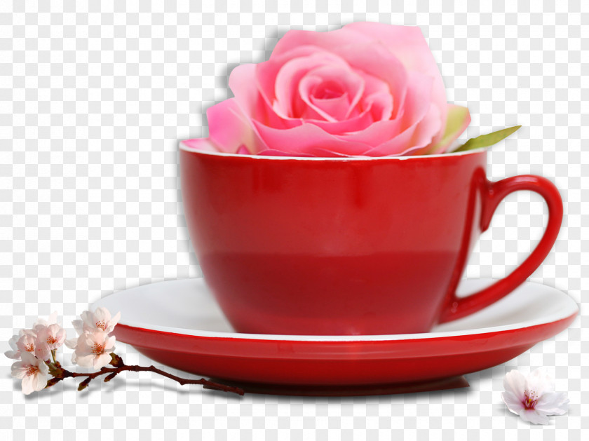 Flower Cup Tea Mug PNG