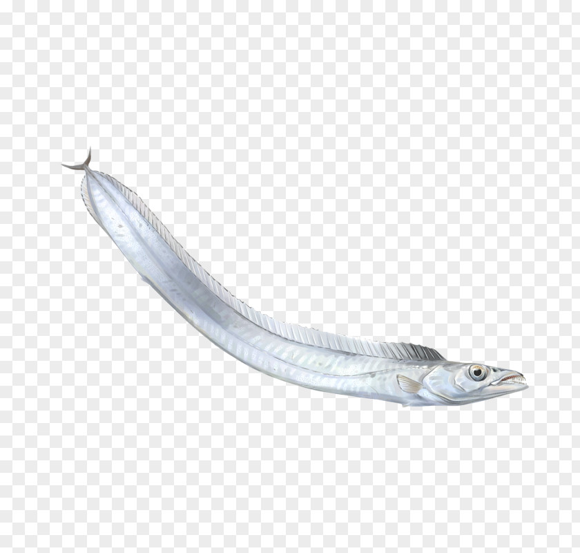 PESCADO Sardine Oily Fish Reptile Capelin PNG